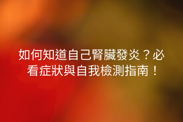 如何知道自己腎臟發炎？必看症狀與自我檢測指南！