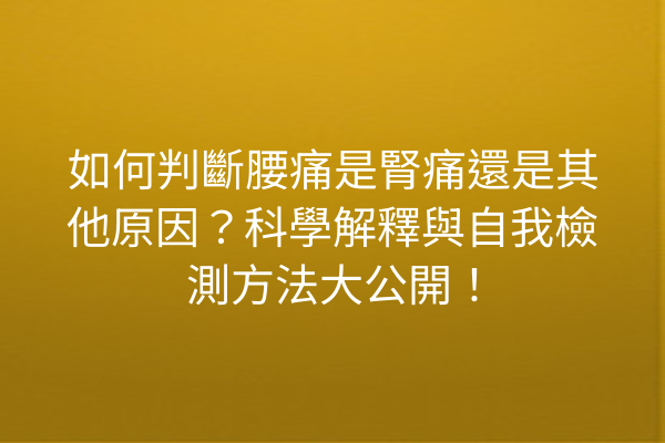 如何判斷腰痛是腎痛還是其他原因？科學解釋與自我檢測方法大公開！